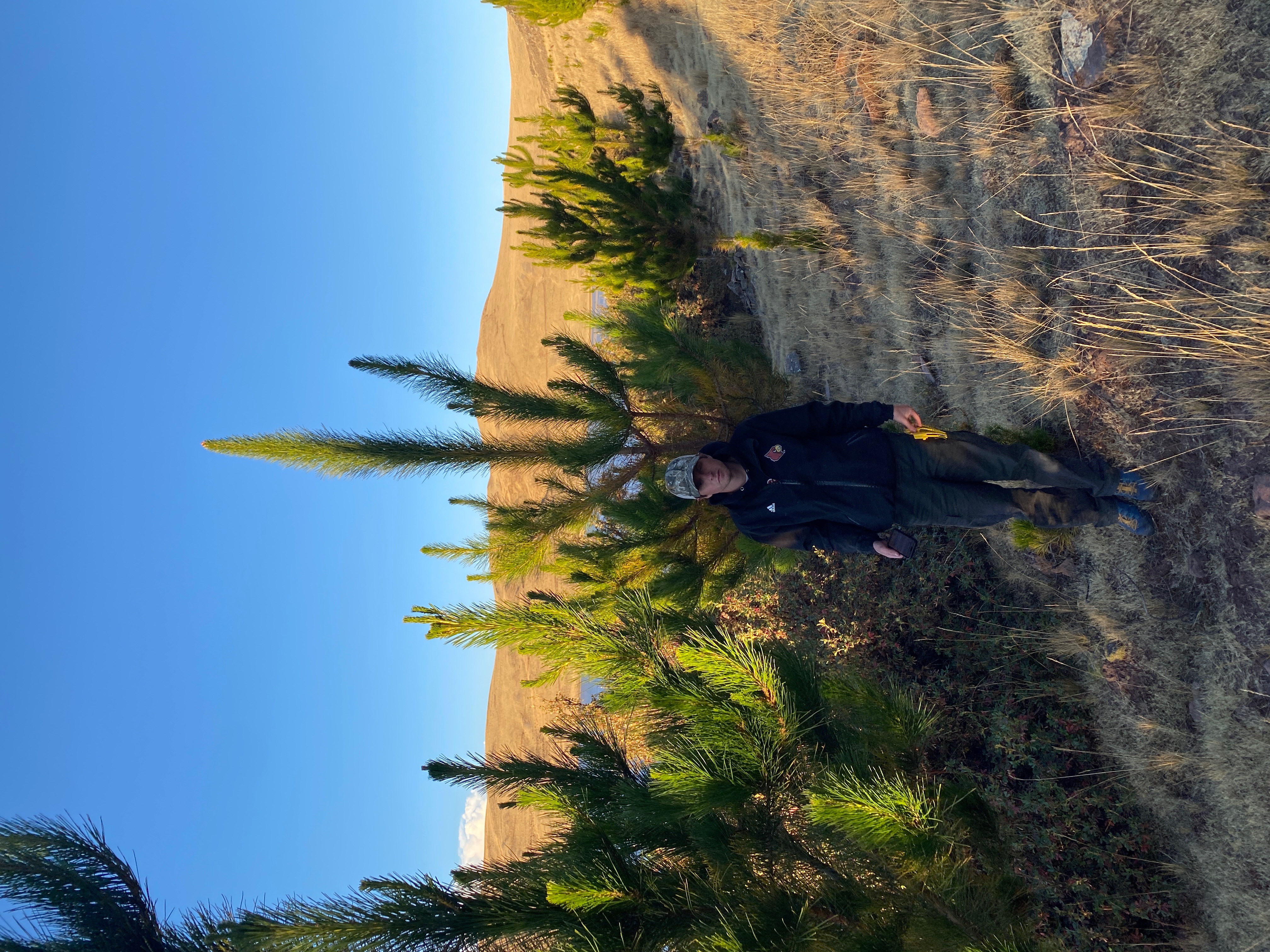 Image 2c