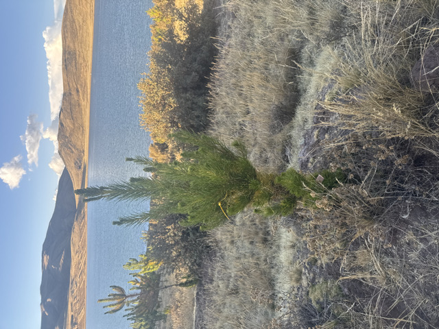 Image 2b