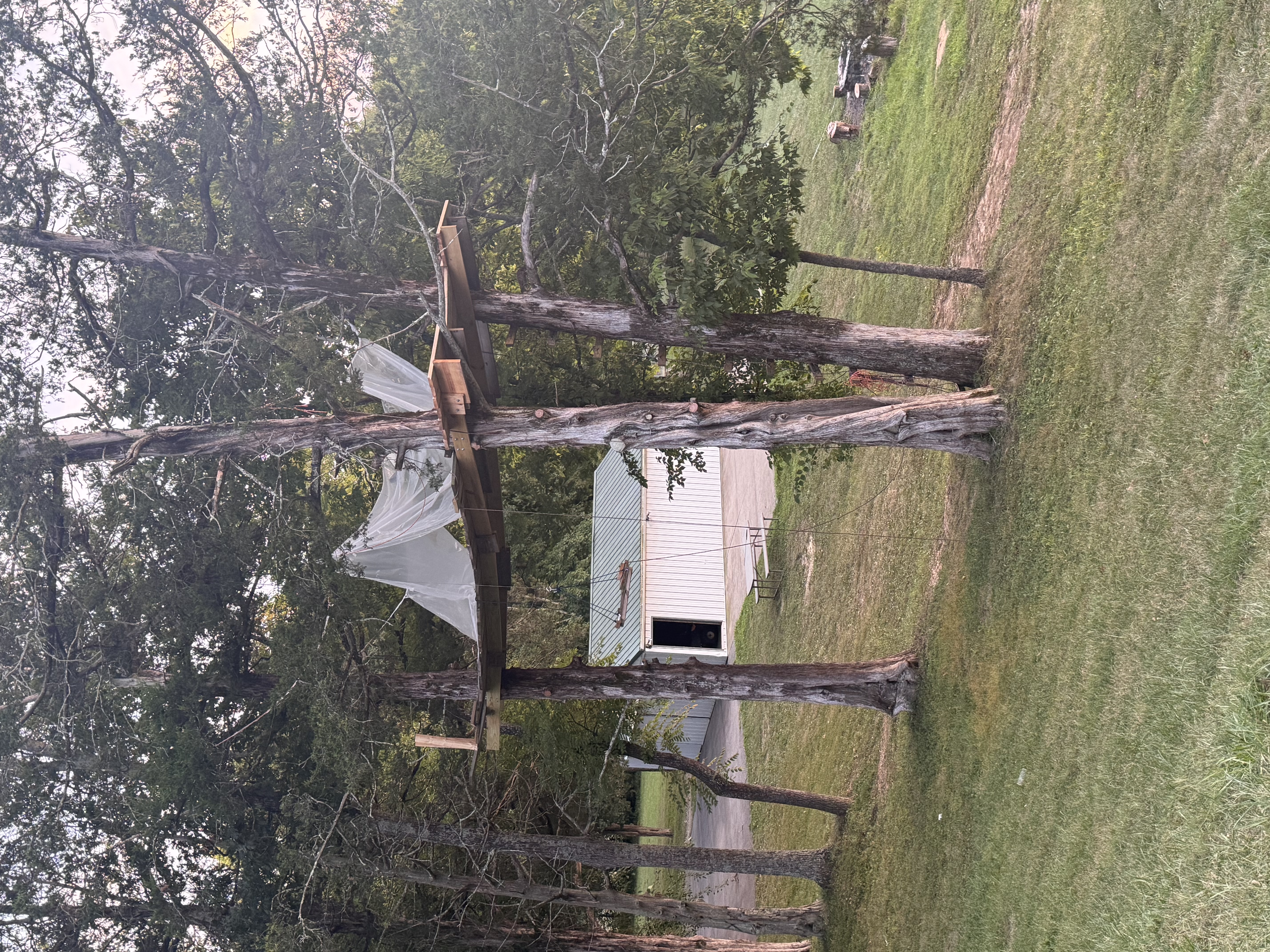 Treehouse left 1