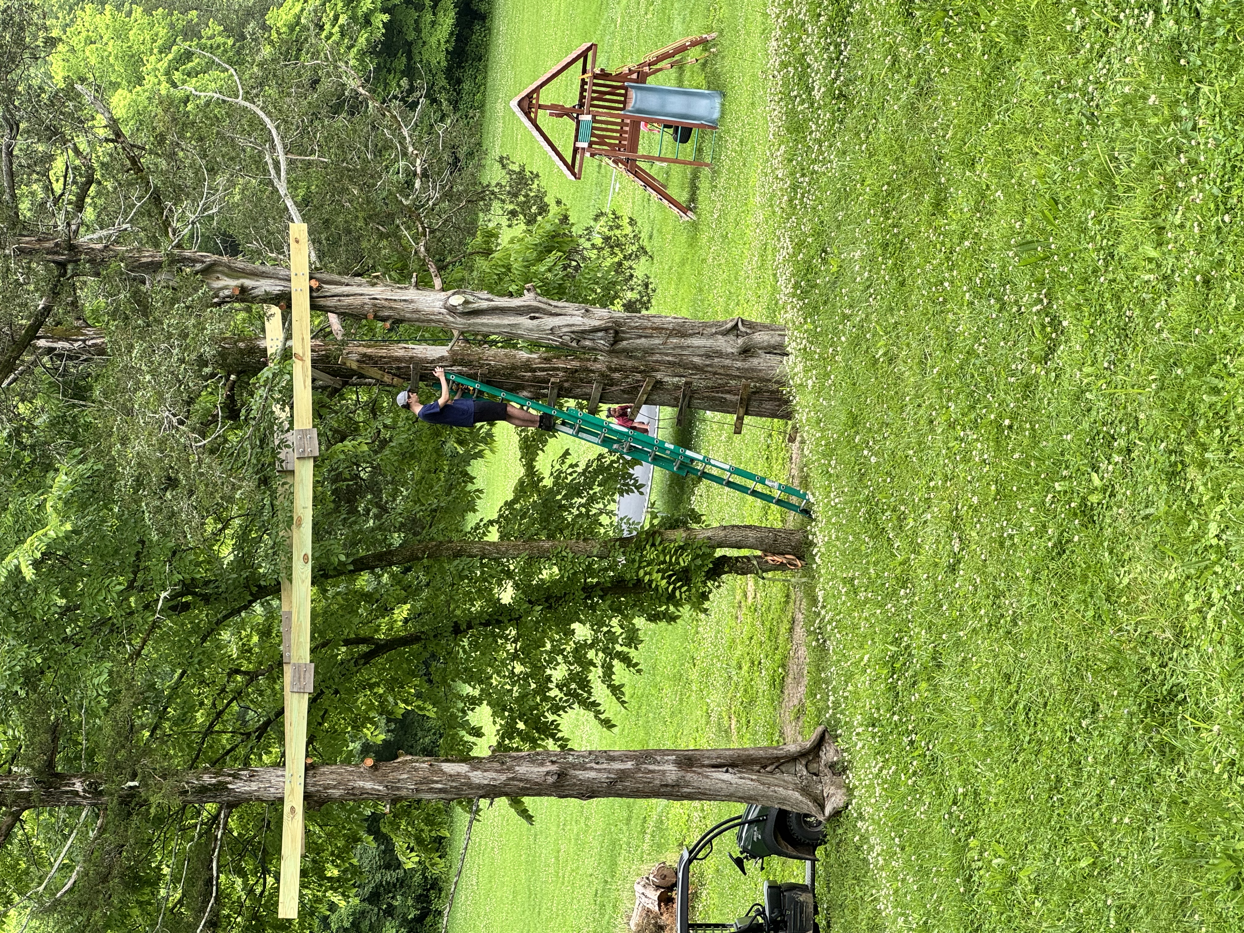 Treehouse left 2