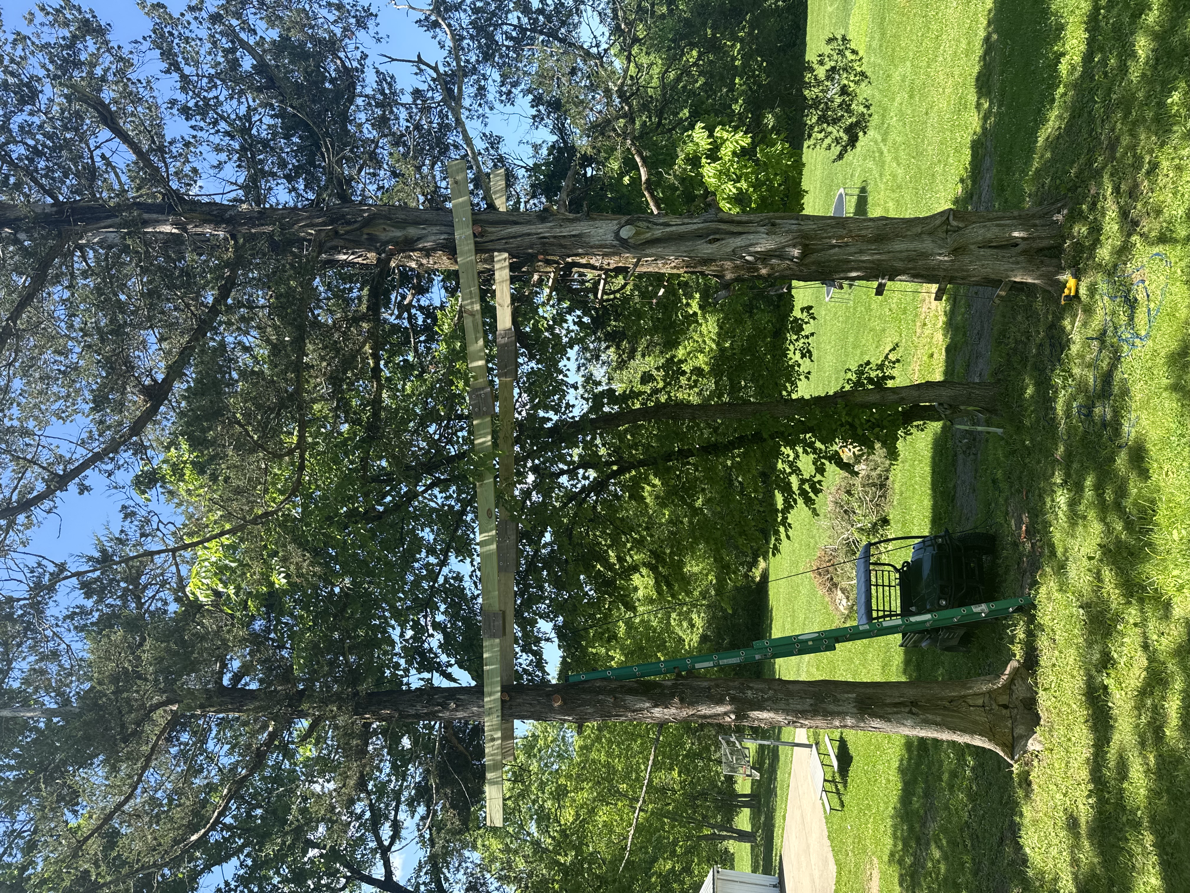 Treehouse right 1