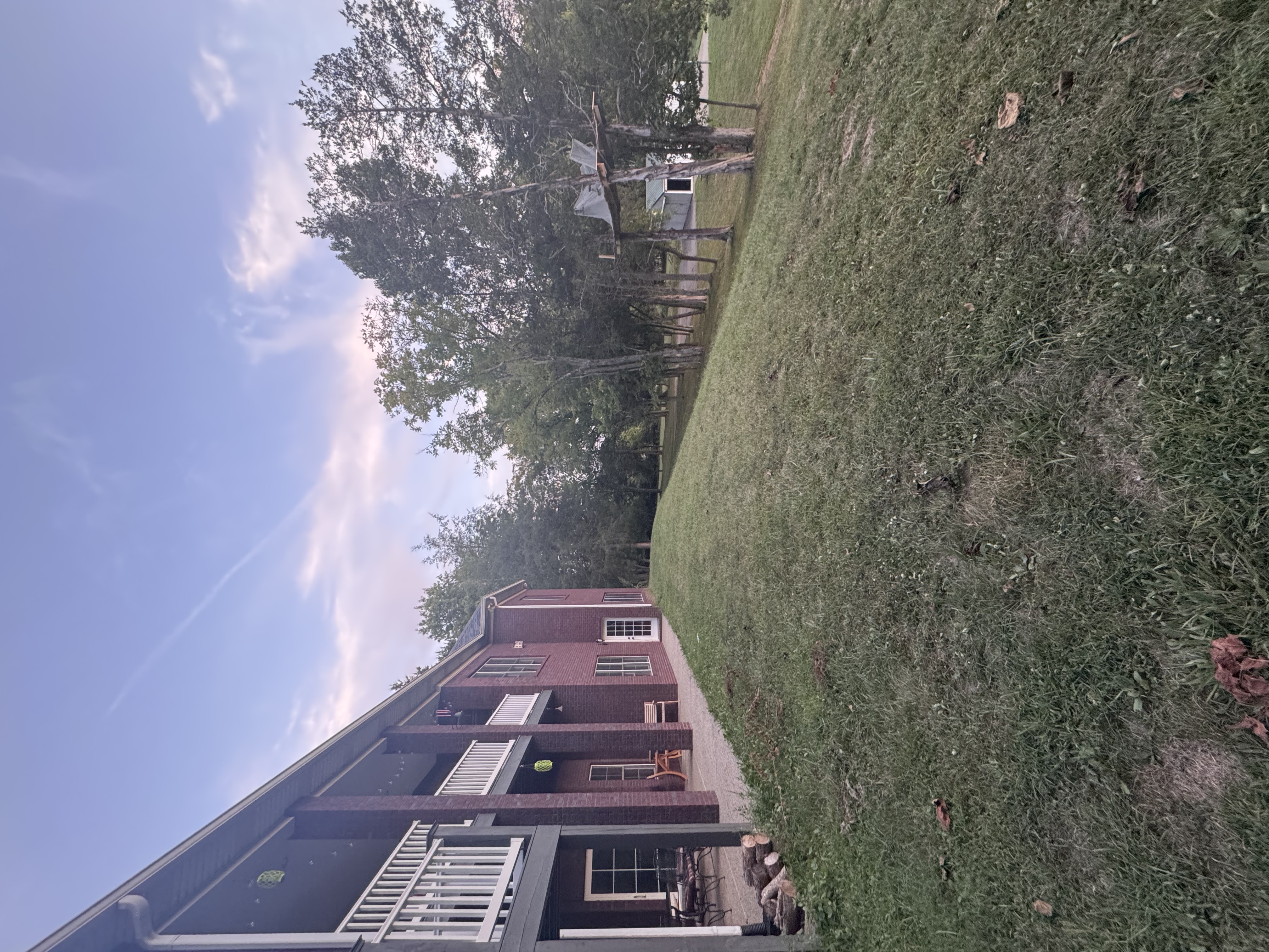 Treehouse right 2